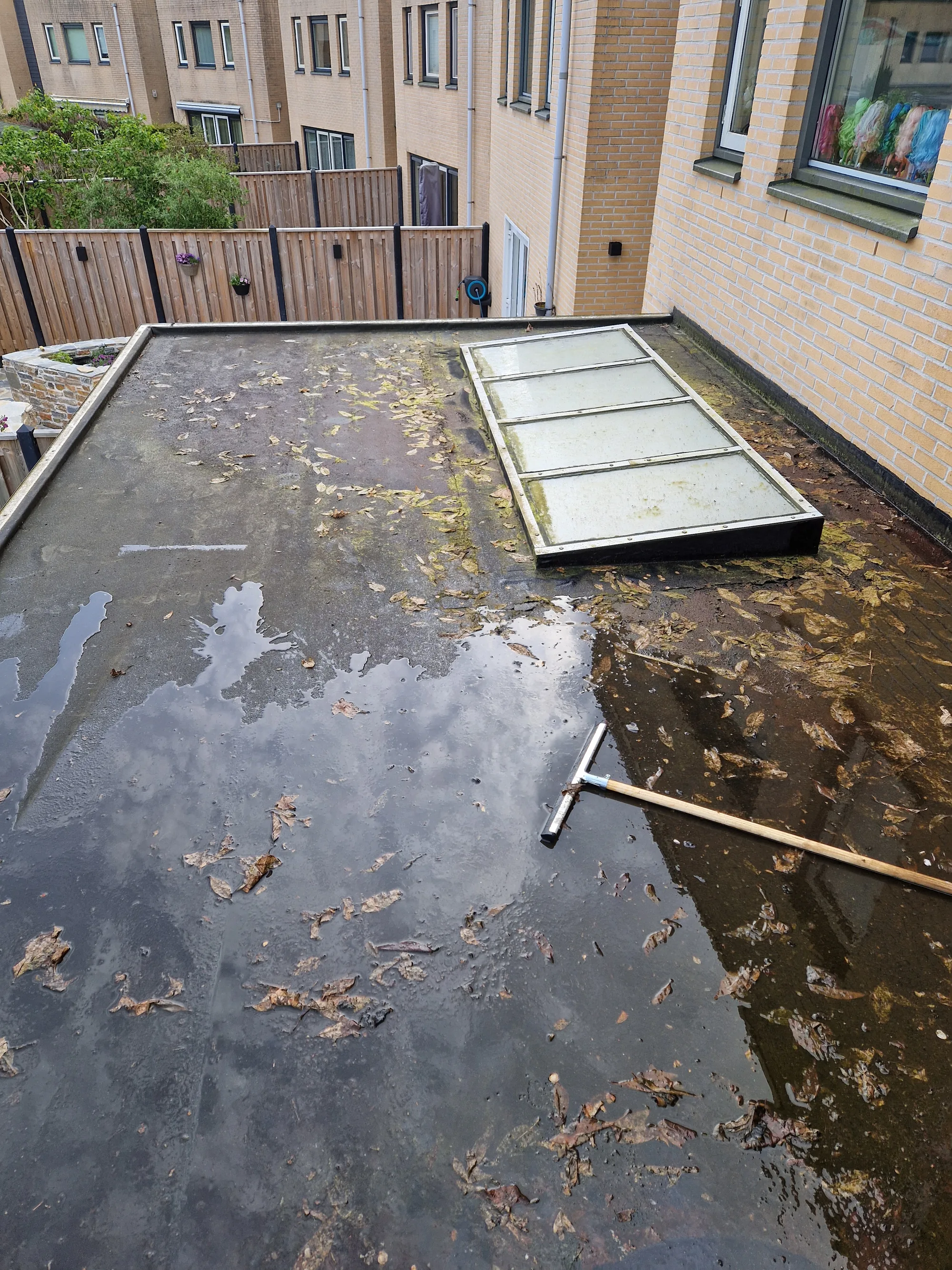 Bladeren en stilstaand water op een vervuild plat dak tijdens onderhoud