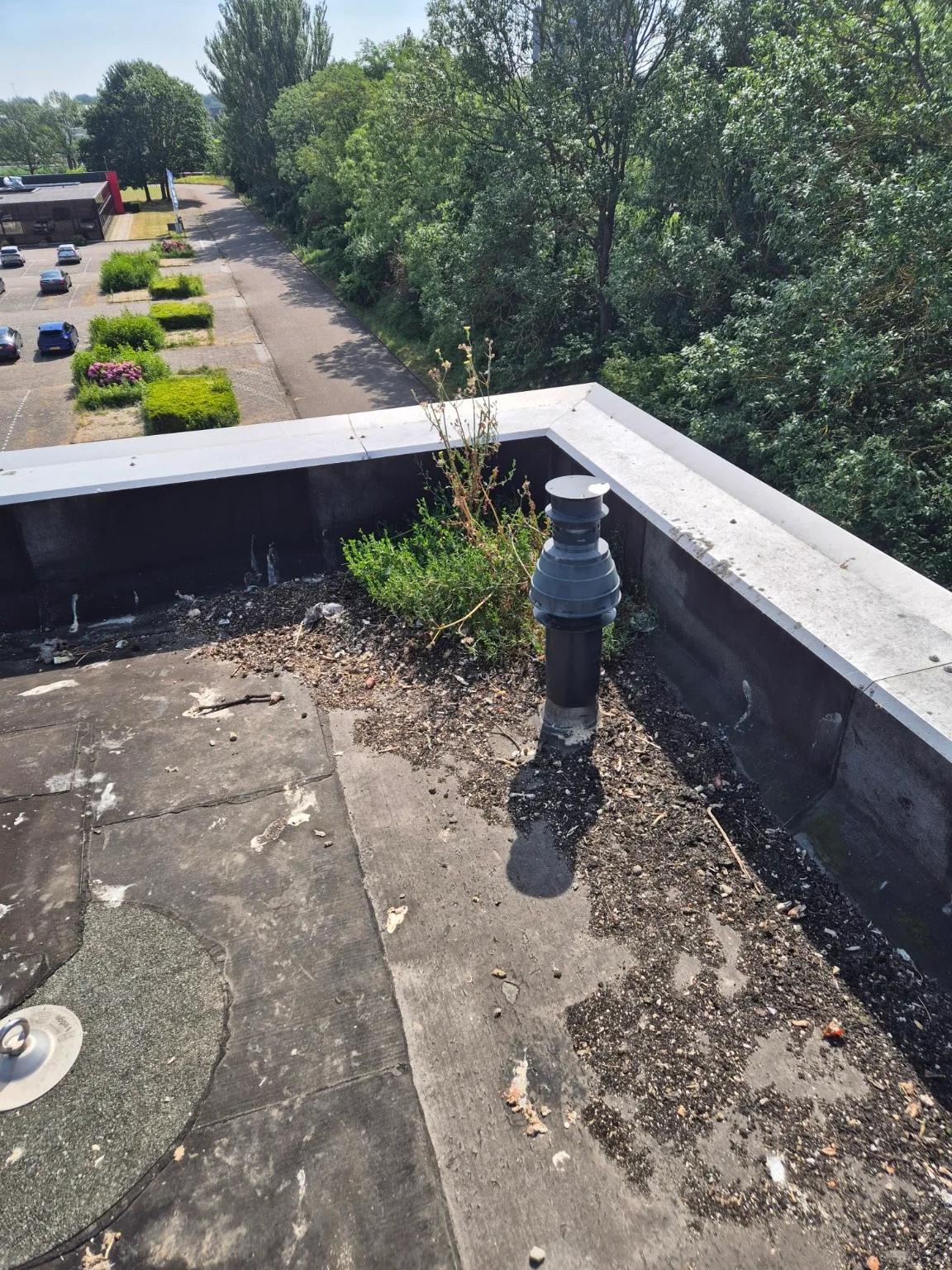 Vervuilde en lekkagegevoelige dakzone bij een bedrijfspand in Dordrecht